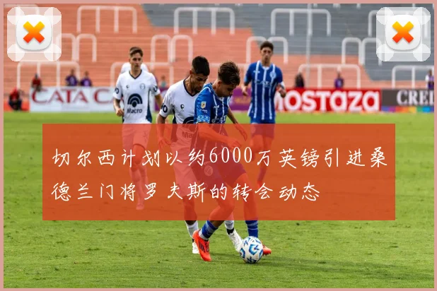切尔西计划以约6000万英镑引进桑德兰门将罗夫斯的转会动态