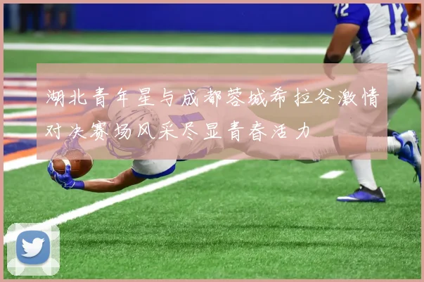 湖北青年星与成都蓉城希拉谷激情对决赛场风采尽显青春活力