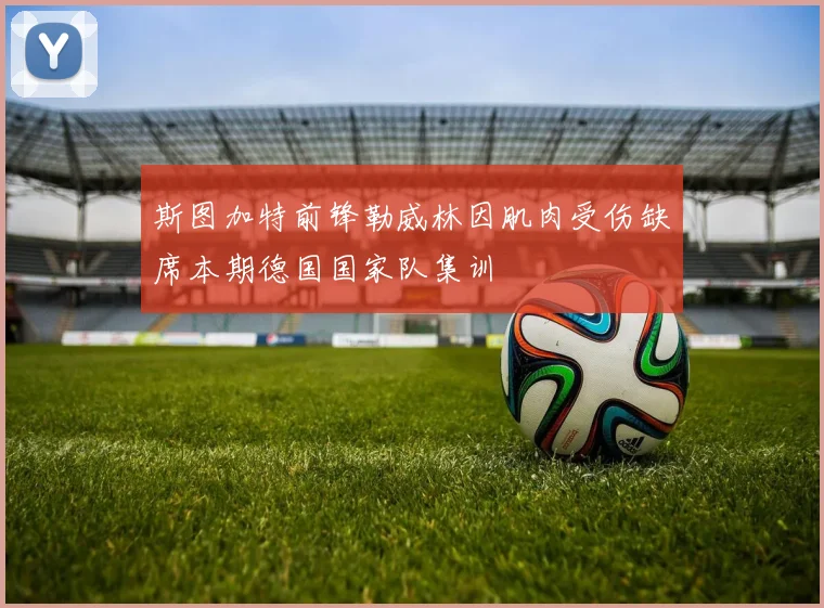 斯图加特前锋勒威林因肌肉受伤缺席本期德国国家队集训